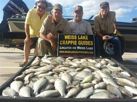Weiss Lake Crappie Guides 2016 Photo Gallery Photo Gallery