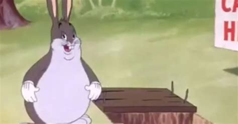 Big Chungus Ps4 Wtf Is It Playstation Universe