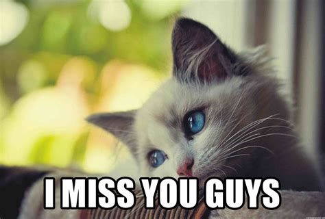 I miss you quotes for him from the heart. I miss you guys - Missing you kitty | Meme Generator