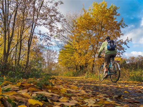 We did not find results for: Herbstzeit (21) Foto & Bild | natur, herbst, pflanzen ...