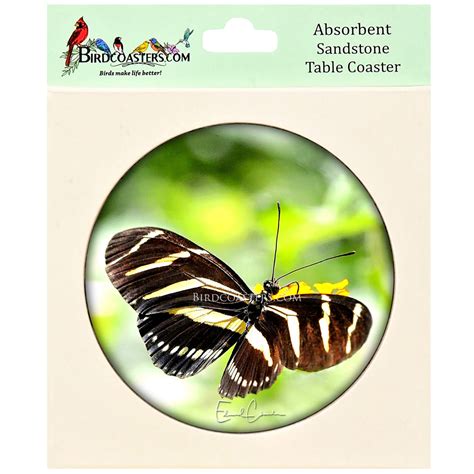 Zebra Heliconian Butterfly Birdcoasters