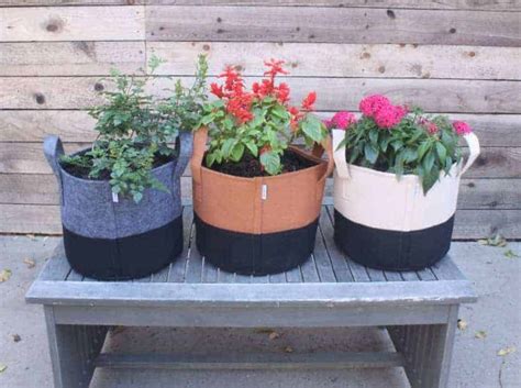 How To Use Fabric Pots For Container Gardening Level 101 Wraxly
