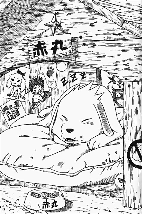 Akamaru Anime Naruto Naruto Shippuden Naruhina Itachi Ich Liebe Anime Manga Naruto Bilder