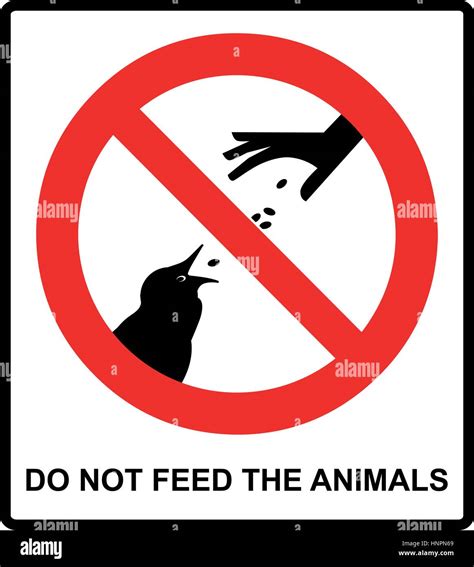 Sign Forbidden To Feed Wild Animals Stock Vector Images Alamy