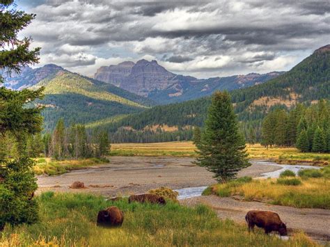 National Parks In Wyoming Travel Channel