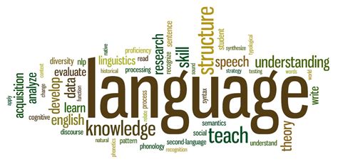 The Importance Of Language In Our Lives