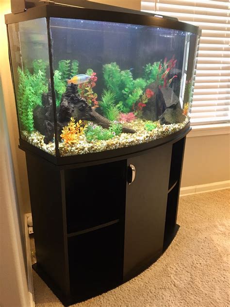 55 Gal. Bow Front Aquarium for Sale in Olympia, WA - OfferUp