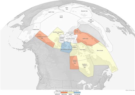 Polar Bear Fortunes Vary Across The Arctic Noaa