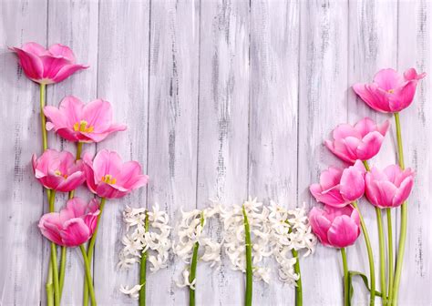Flowers Spring Flowers Hyacinth Wood Tulips Shutterstock Free