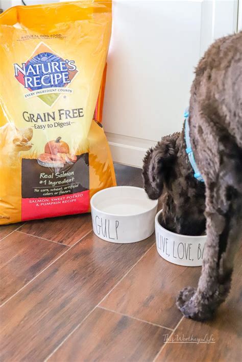 If the dog is doing well on the current dogfood, there is no reason to change food. 8 Things You Need To Do With Your Dog Every Day - This ...