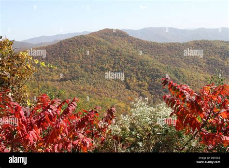 The Appalachian Mountains Covered With Colorful Autumn Color Stock