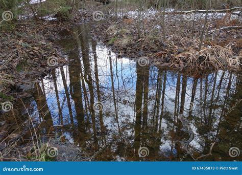 Reflections On A Brook Stock Image Image Of Outdoor 67435873