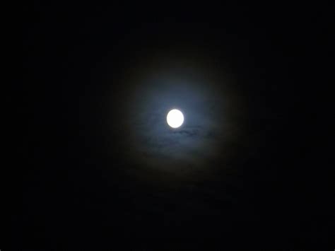Free Photo Night Sky Full Moon Moonlight Free Image On Pixabay 68117
