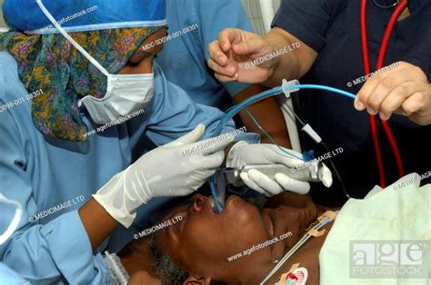 The Introduction Of An Endotracheal Tube Is Inserted Through The Mouth