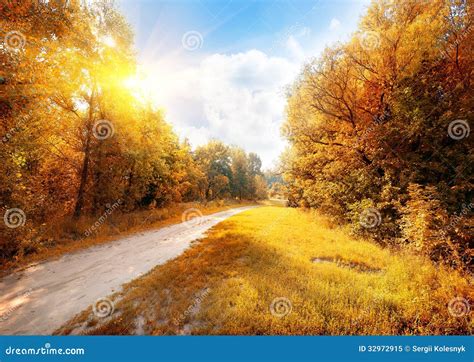 Road In A Colorful Autumn Forest Stock Image Image Of Bush Park