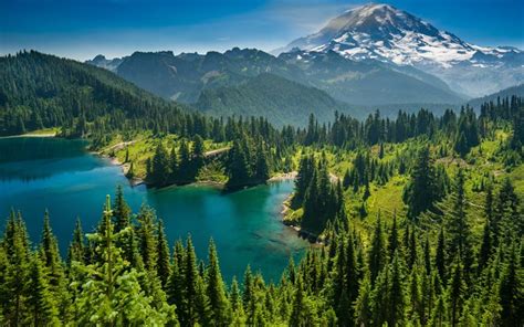 Download Wallpapers Mount Rainier National Park 4k Lake Forest