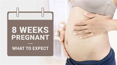 8 Weeks Pregnant Babys Development Symptoms And Tips