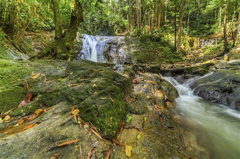 Sungai sendat waterfall is a popular recreational forest in the ulu yam baharu district of selangor state. Nature | Sungai Sendat Waterfall Tier 1 | Sungai Sendat ...