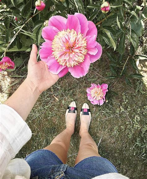 Maybe you would like to learn more about one of these? Cutting Garden Perennials - Low Maintenance Plants for Cut ...