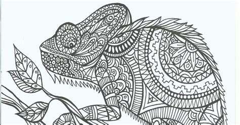 Free printable chameleon color images for kids of all ages. Coloring Page World: Chameleon (Portrait)