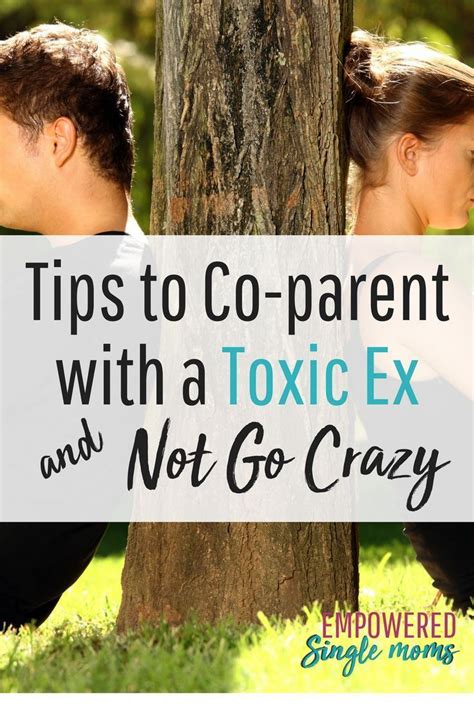 So the best thing for parents to do is to give their kid some space and. How to Co-Parent with a Toxic Ex and Not Go Crazy ...