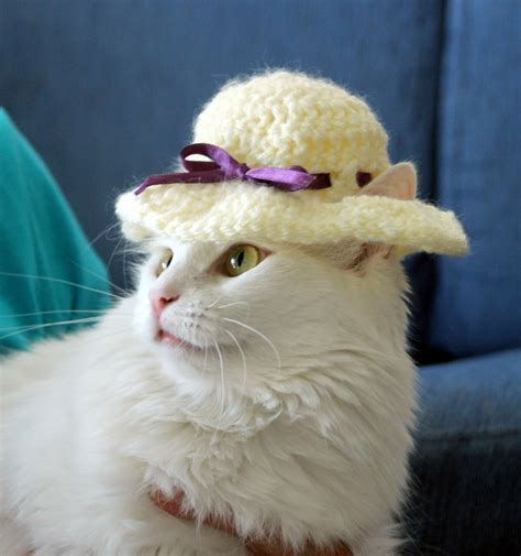 Easter Cat Hat Small Dog Easter Bonnet Spring Pet Hat For