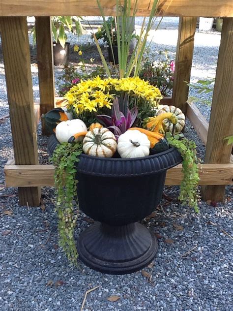 Create A Beautiful Fall Display With Mums Grass And Gourds Autumn