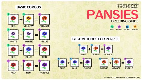 Animal Crossing New Horizons Hybrid Flowers Guide How To Breed