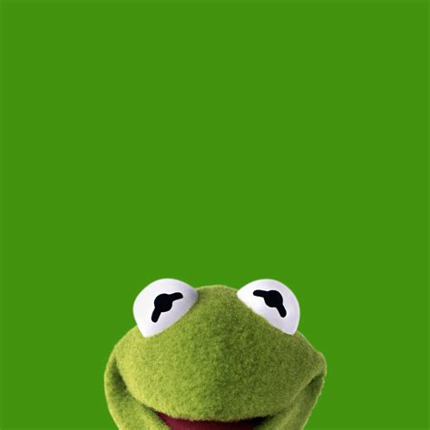 Kermit The Frog Wallpapers Top Free Kermit The Frog Backgrounds