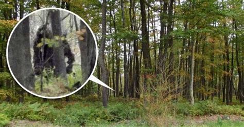 Is This Bigfoot Hiker Snaps Amazing Photographs Of The Legendary