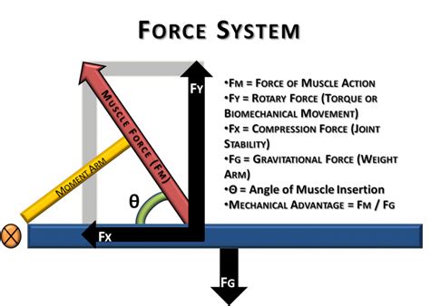 Force Diagrams Example For Science Class 101 Diagrams