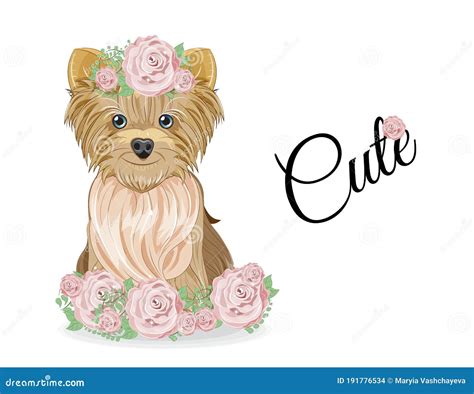 Yorkshire Terrier Dog In Roses Stock Vector Illustration Of Hairstyle