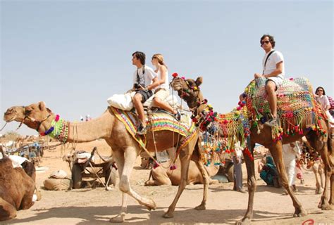 Here we enlist these species of camels and the special features associated with them. Photo Gallery of Pushkar Camel Fair- Explore Pushkar Camel ...