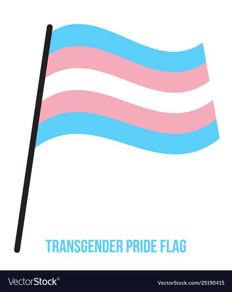 transgender pride flag waving designed with vector image