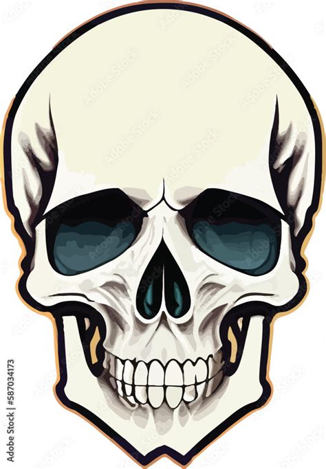 Human Skull Realistic Vector Illustration Minimalist Skull Vector