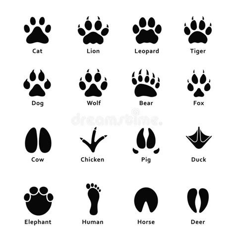 Wildlife Animals And Birds Footprint Animal Paw Prints Vector Set