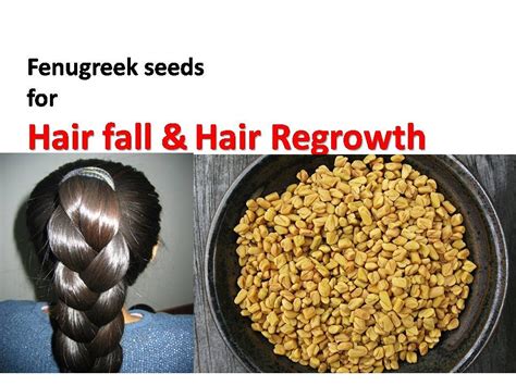 The percentage of black seed oil used here, also, was a mere 0.5%. Fast Hair Growth | Fenugreek seeds for Hair fall & Hair ...