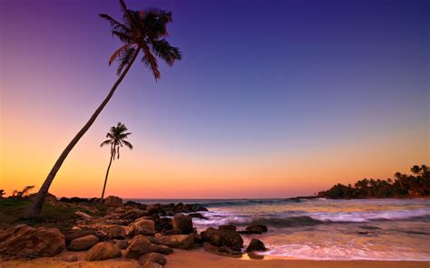 Sri Lanka Sunset Sea Coast Beach Rocks Palm Trees Wallpaper