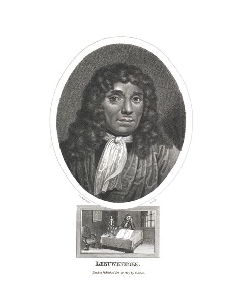 Portrait Of Antoni Van Leeuwenhoek