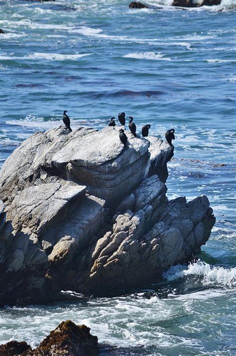 Monterey Coast 21 Photograph By Adam Riggs