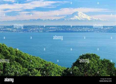 Washington Seattle View Of Mtrainier From Puget Sound Greenery In