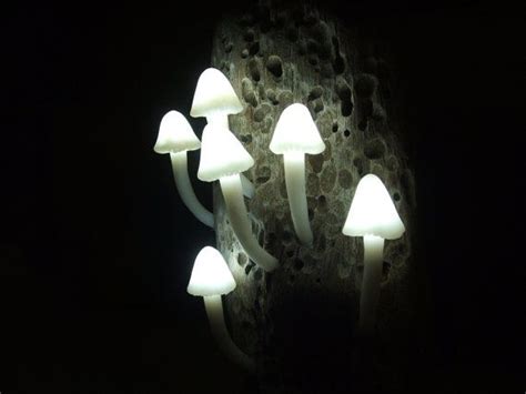Magical Mushrooms Magical Mushrooms Glowing Mushrooms Stuffed Mushrooms