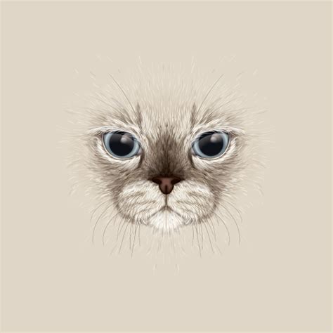 Create A Large Face Cat Illustration From Stock In Adobe Illustrator