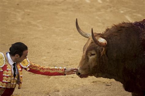Bullfighting In Madrid Spain