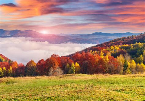 Colorful Autumn Morning In The Carpathian Mountains Stock Image
