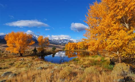 Reveling In Yellowstones Fall Colors A Yellowstone Life