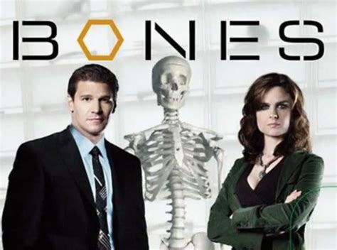 Bones Season 13 Confirmed Or Canceled Trending News Buzz