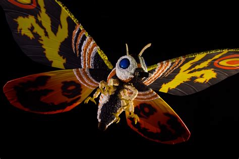 mothra wallpapers top free mothra backgrounds wallpaperaccess images and photos finder