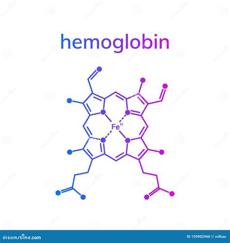 Structure Of Human Hemoglobin Molecule Stock Vector I