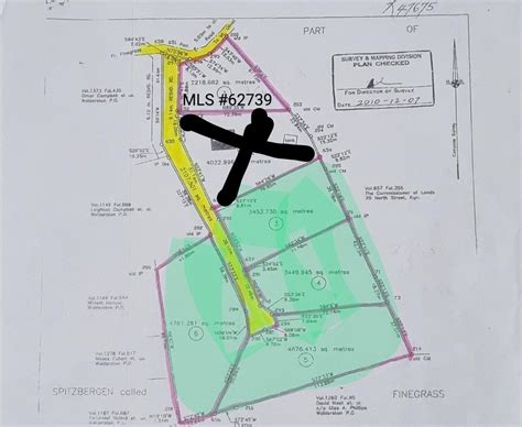 spitzbergen 4 acres manchester demim realty real estate in jamaica houses for sale